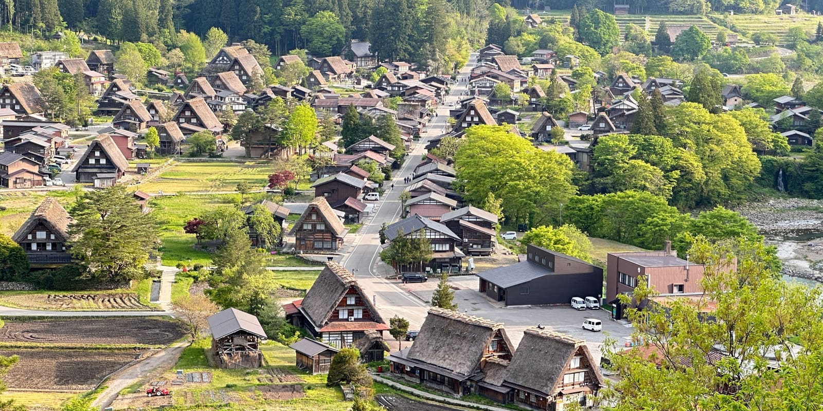 Aerial view of Ogimachi village's gassho-zukuri thatched-roof farmhouses lining the main road, with rice paddies and surrounding mountains, Shirakawa-go, Japan